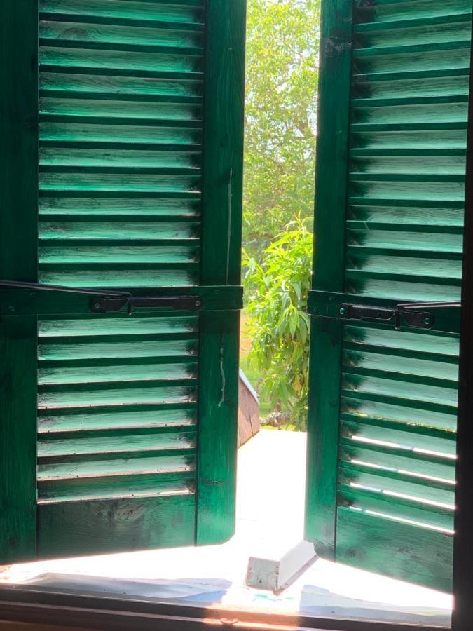 Chambres D' Hotes La Lison Tintry Eksteriør billede